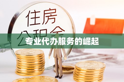 旬阳专业代办服务的崛起