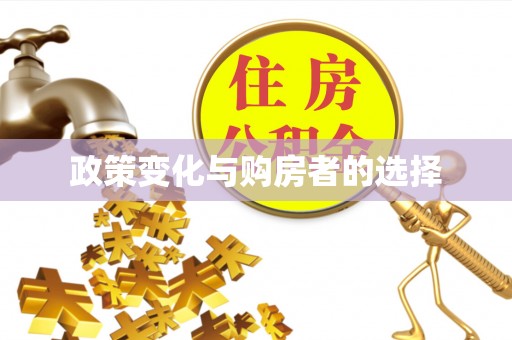 旬阳政策变化与购房者的选择